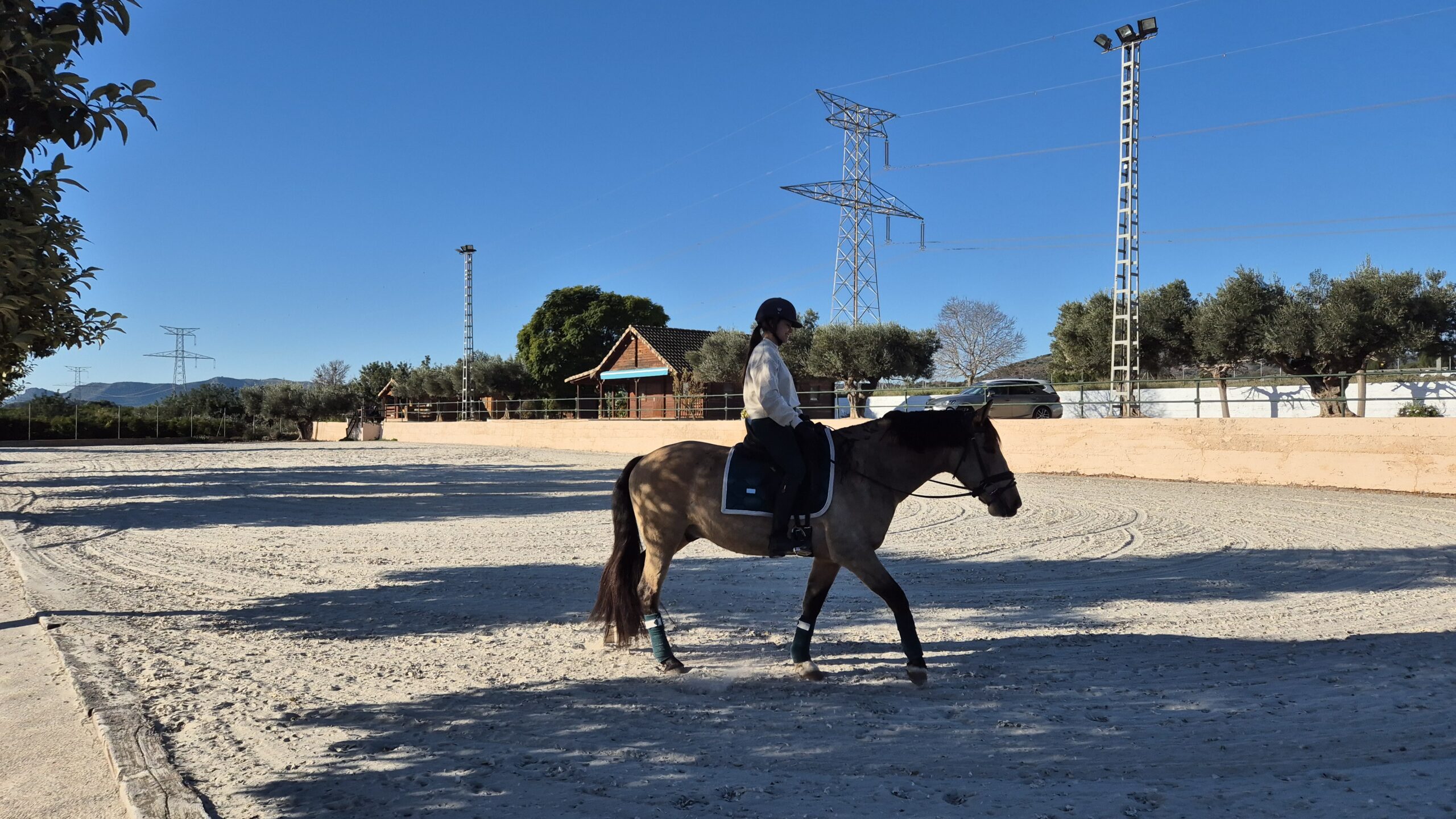 HIPICA VILLARGUT RETIRO DE CABALLOS EN VALENCIA ALMENARA retiro de caballos en castellon